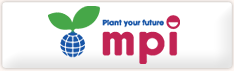 q pꋳށEpꋳ mpi