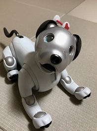 /contents/shop/mpi/news/aibo.jpg